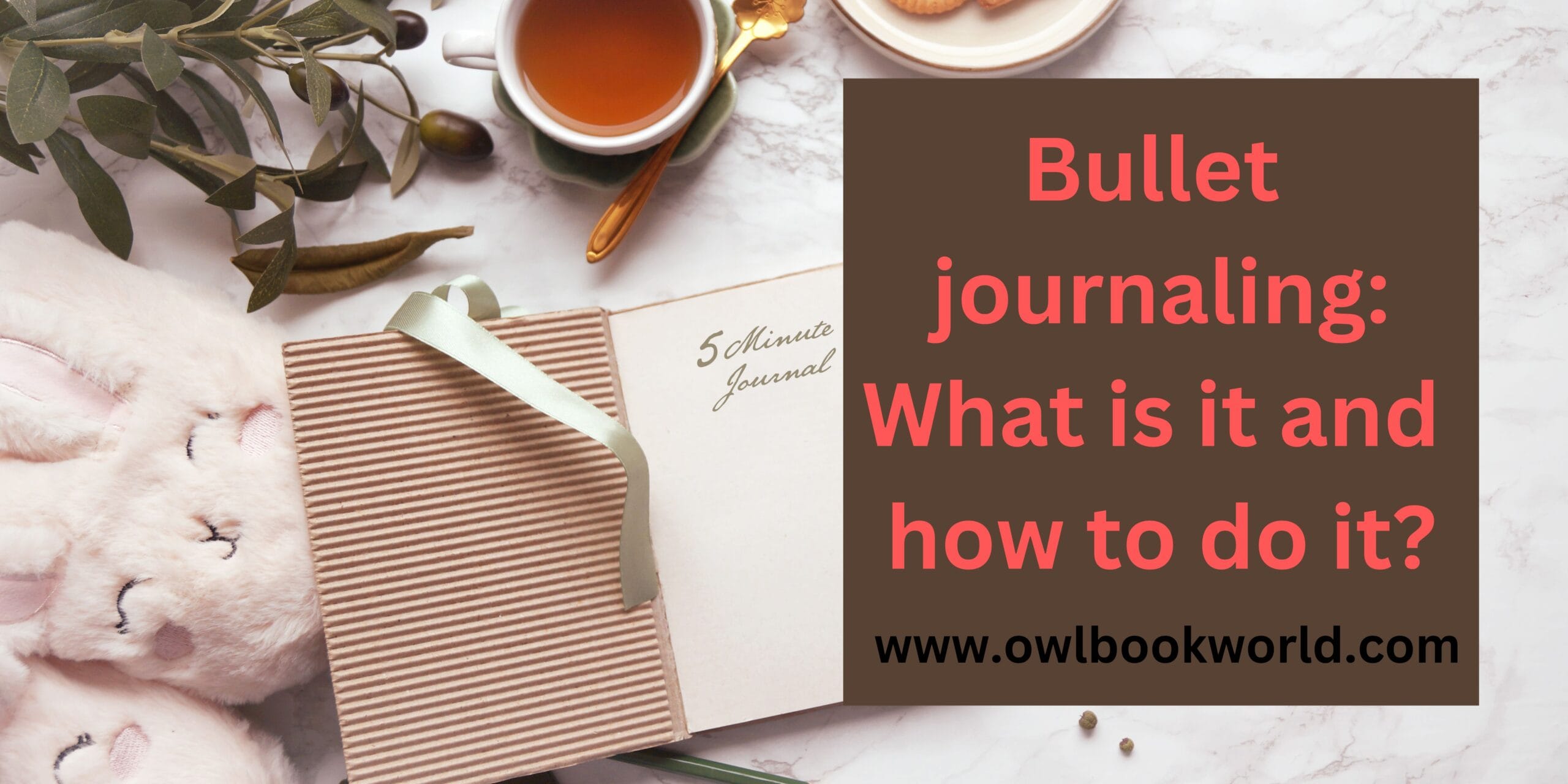 Bullet Journal your way to organization